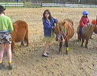 Ponypark Collendoorn, spring 2001