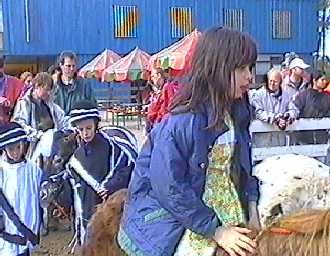 Ponypark Collendoorn, spring 2001